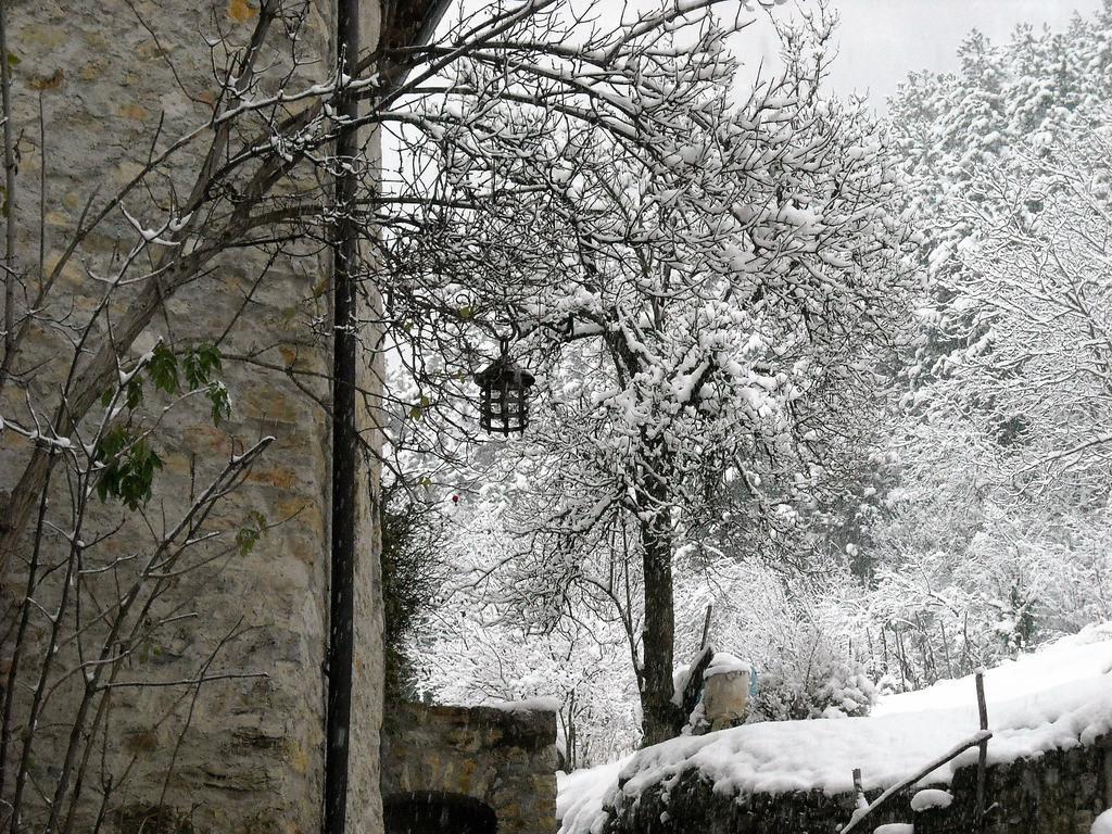 La Piazzetta Di Canale B&B Tenno Dış mekan fotoğraf
