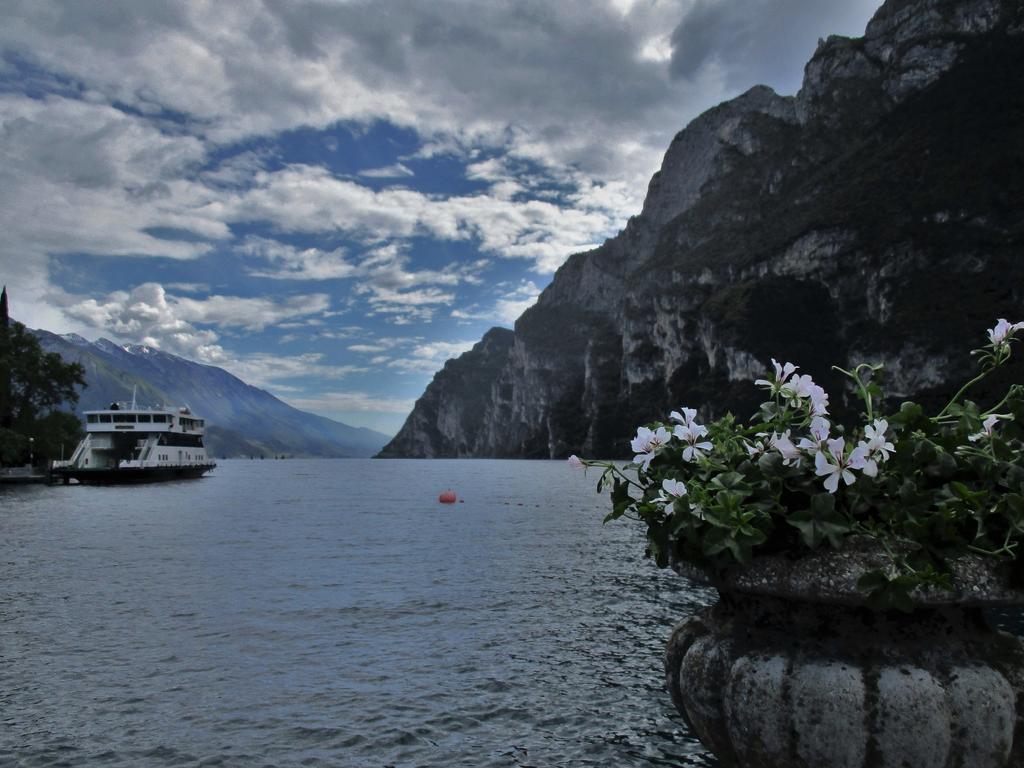 La Piazzetta Di Canale B&B Tenno Dış mekan fotoğraf